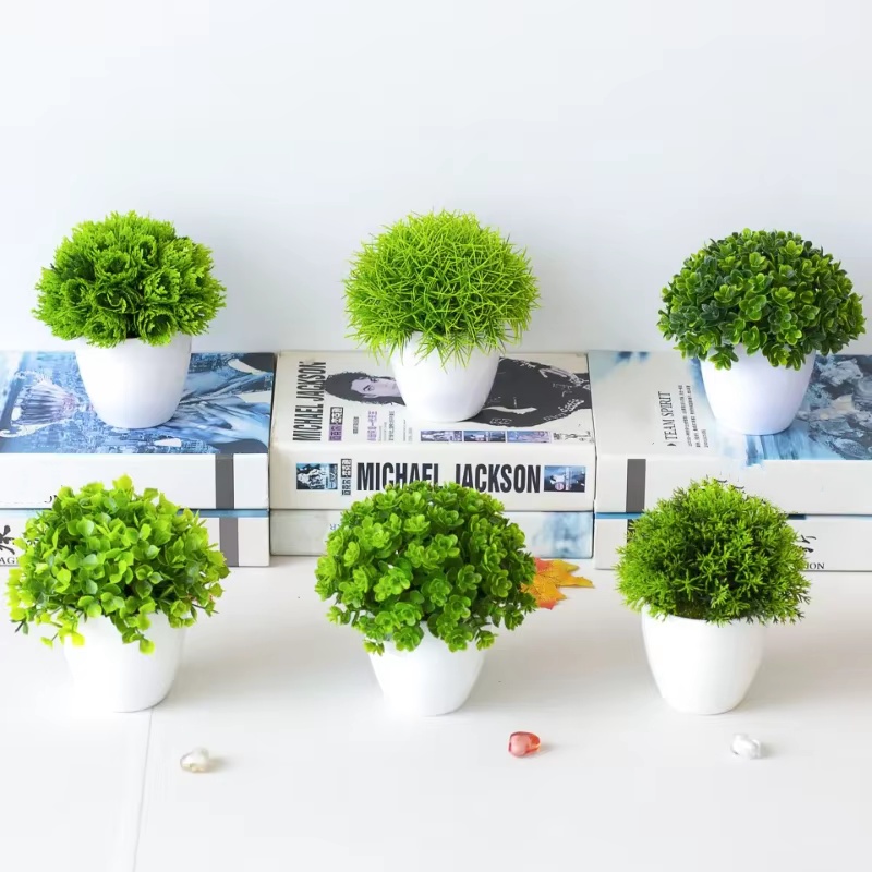 1 unidad de planta verde en ma - Photography Simulator reseña y precio