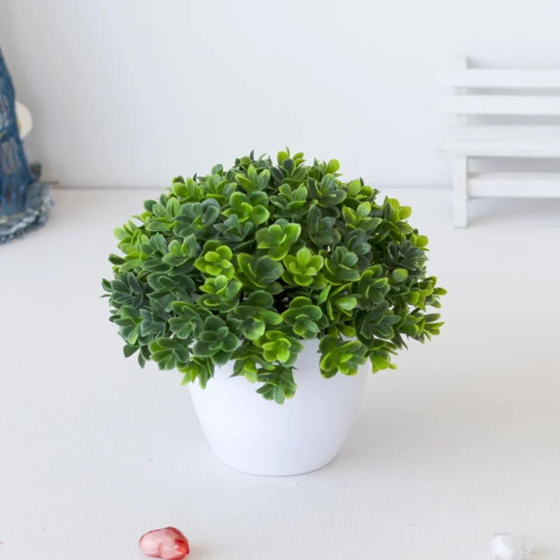 1 unidad de planta verde en ma - Photography Simulator reseña y precio