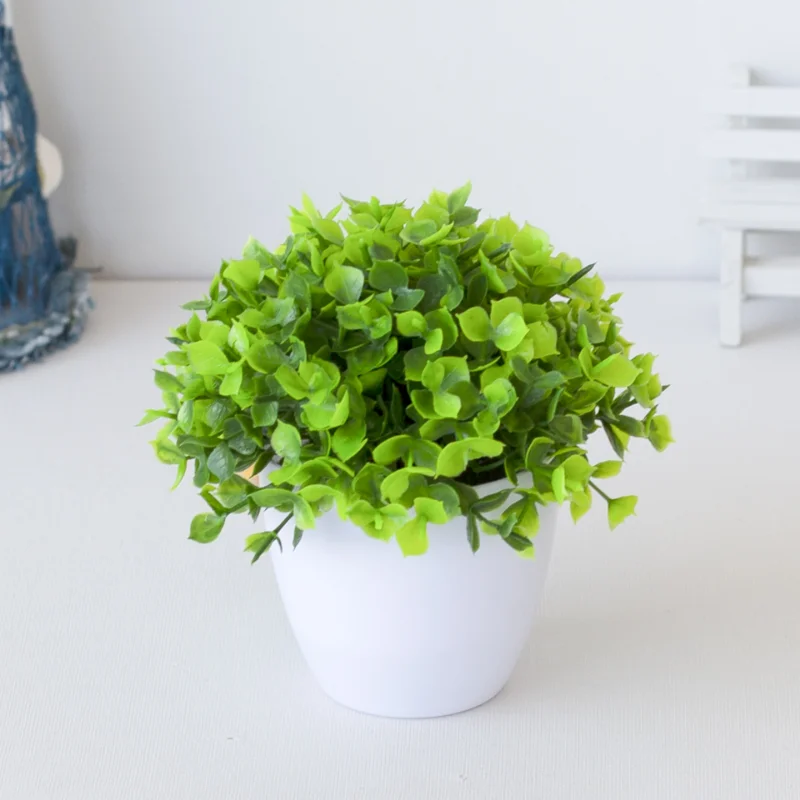 1 unidad de planta verde en ma - Photography Simulator reseña y precio