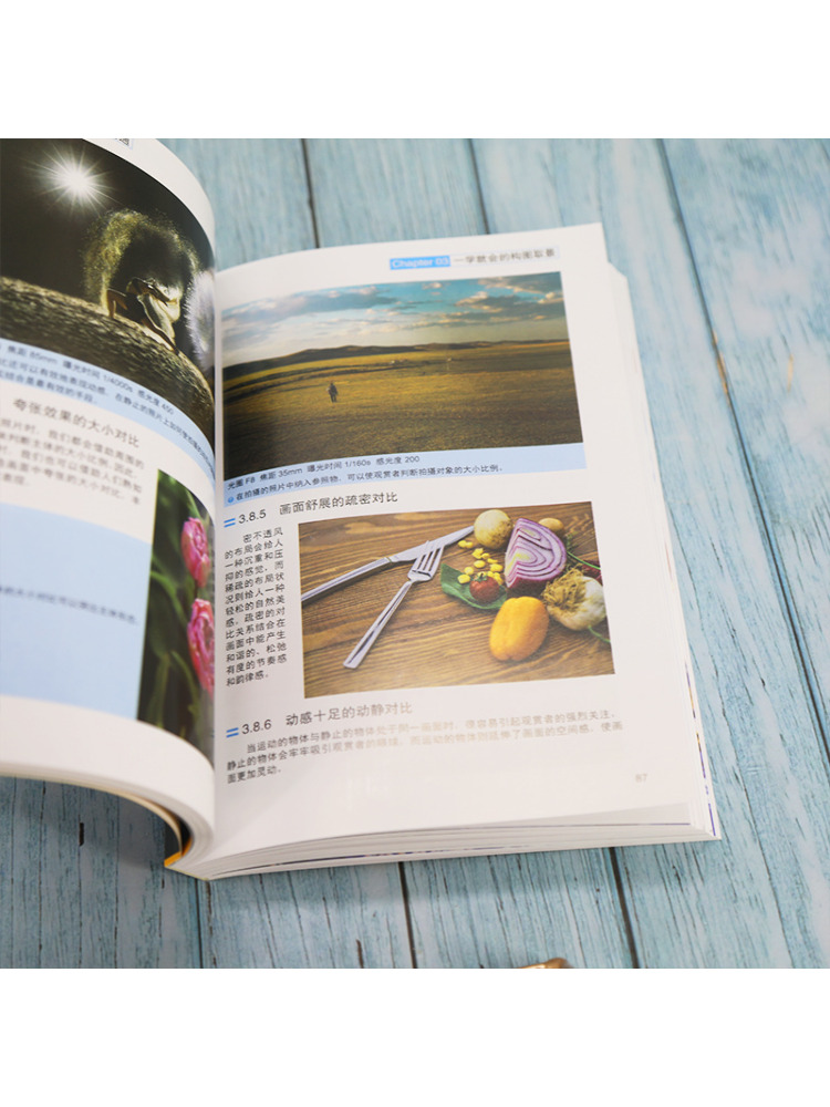 Libro de Winshare: Fotografía  - Photography University reseña y precio