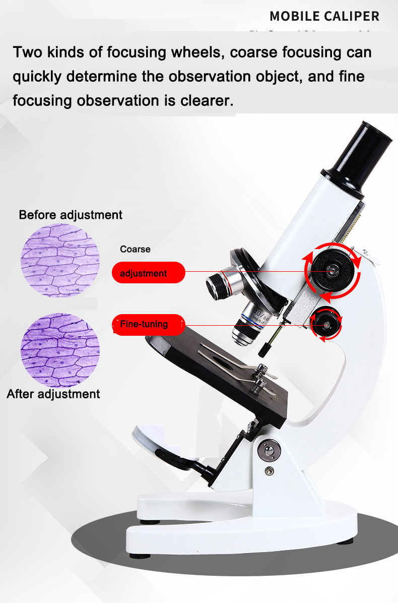 Microscopio biológico óptico p - Photography University reseña y precio