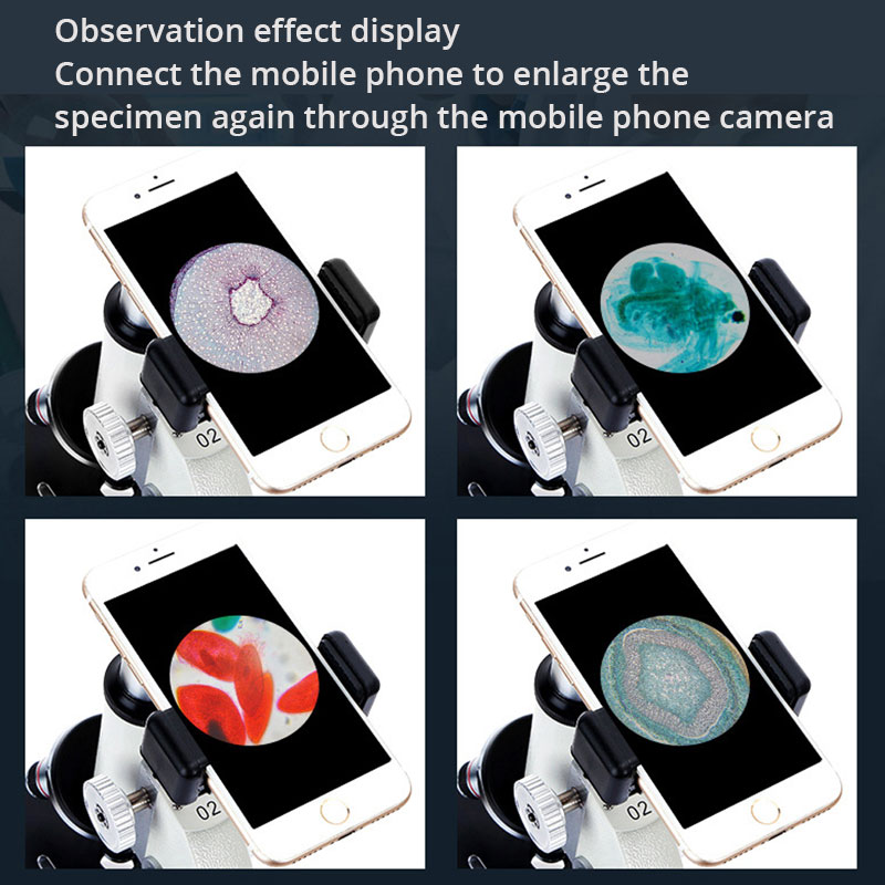 Microscopio biológico óptico p - Photography University reseña y precio