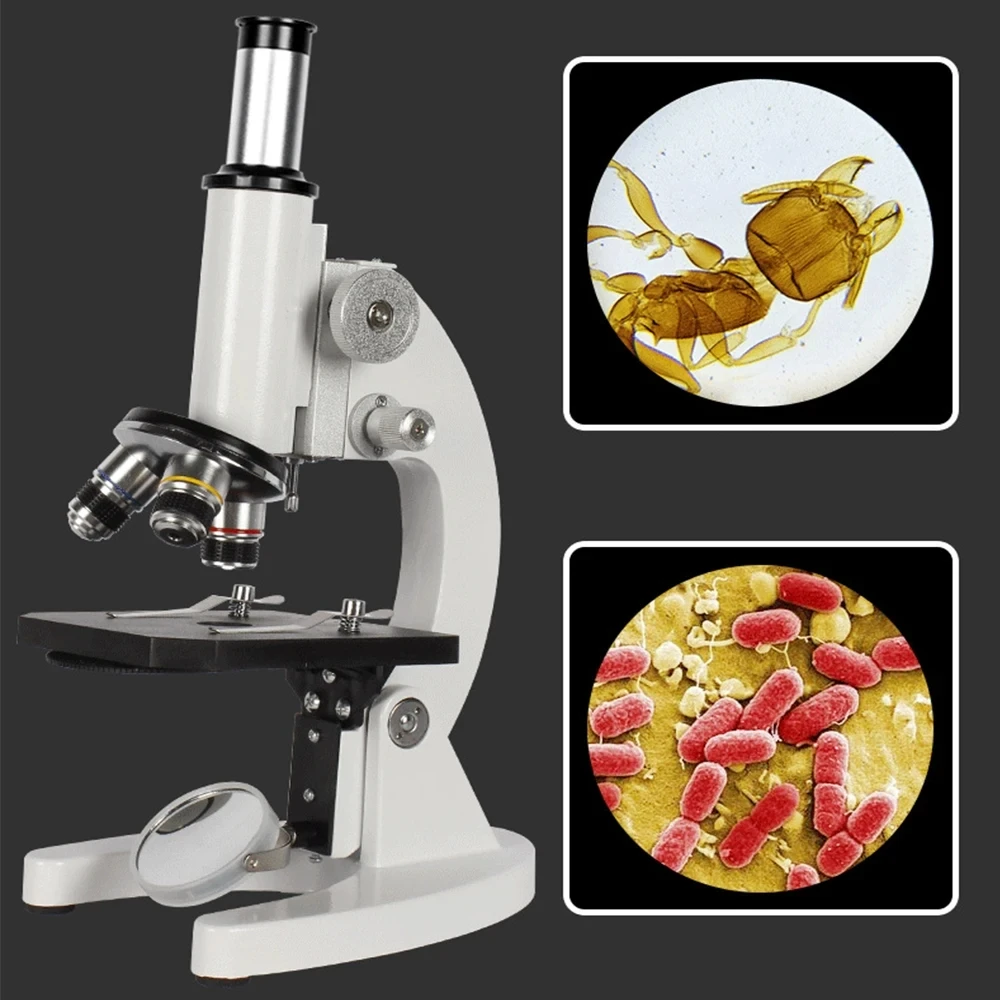 Microscopio biológico óptico 4 - Photography University reseña y precio