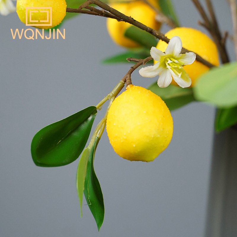 Ramas de limón con frutas, pla - Photography Simulator reseña y precio